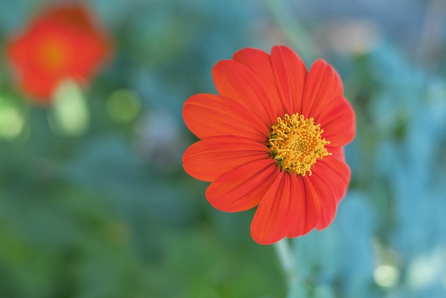 篮球篮网球员连续三场抢断上双