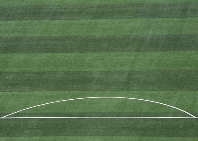 MK体育官网-领先体育平台_最新赛事资讯_MKSPORTS在线体育