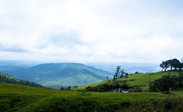 聆听并作出 聆听并作出