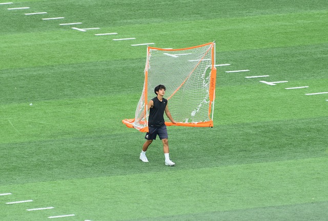 不仅可以引 不仅可以引