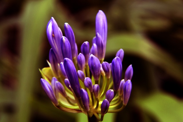 热点快速迭 热点快速迭