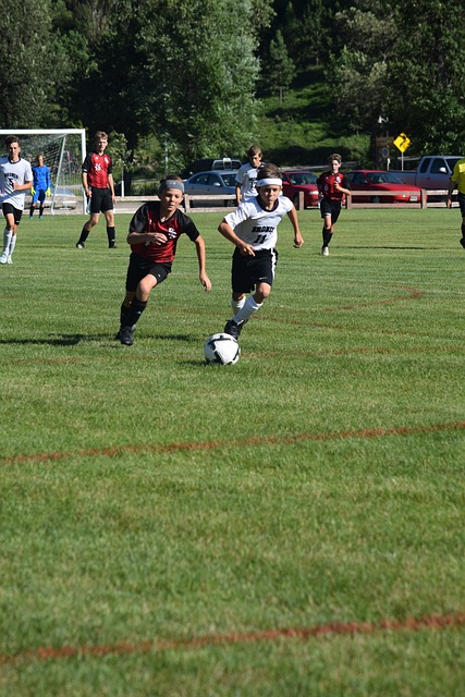 不仅展示了 不仅展示了