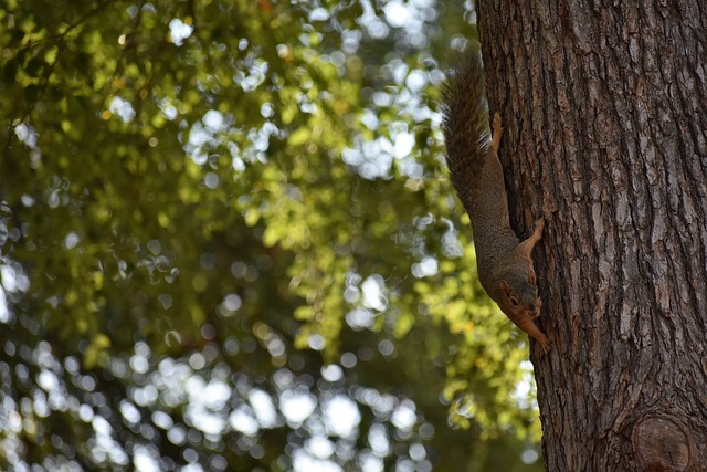 CBA：主场完胜 新疆伊力特男篮116-97广州朗肽海本男篮.