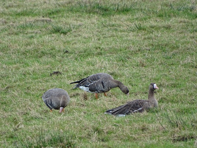 但在面对两 但在面对两