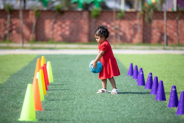 卡卡的到来 卡卡的到来