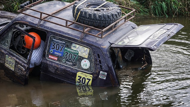 应当建立并 应当建立并